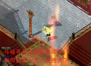 ƲҳΰԷԣγưһ¹