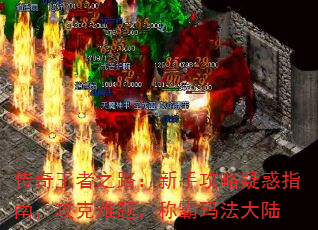 ֮·ֹɻָϣ⣬ư귨½