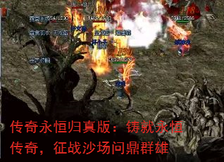 棺㴫棬սɳʶȺ