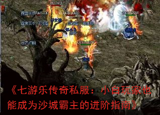 ִ˽СҲܳΪɳǰĽָϡ