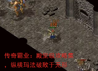 ҵüԼݺ귨Ƶ