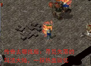 ȥҷѰʧ귨½һ̽Ѫ
