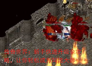 磺ֿȫԣɳΪ귨ʦ