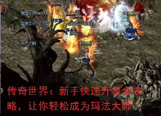 磺ֿȫԣɳΪ귨ʦ
