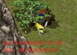ʢͻָϣط䴫
