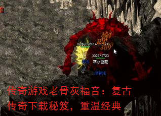 ϷϹǻҸŴţ¾