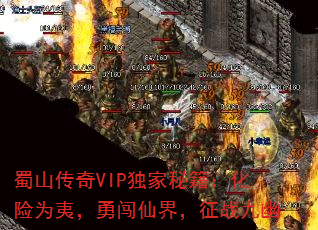 ɽVIPؼΪģ´ɽ磬ս