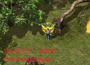 ɳͿˣְҵָ