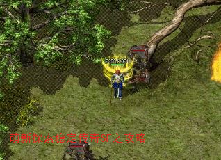 ̽ȶSF֮