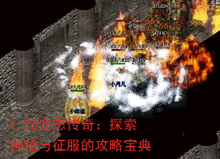 1.76̬棺̽ĹԱ