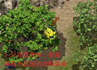 1.76̬棺̽ĹԱ