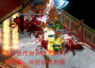 Ӣعԣ鼫´̼