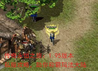 ֮ã1.95汾˽ԣư귨½