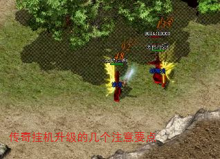 һļעҪ