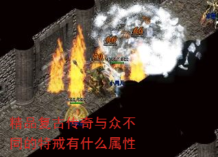 ƷŴڲͬؽʲô
