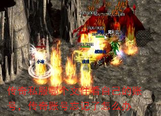 ˽ĸļԼ˺ţ˺ô