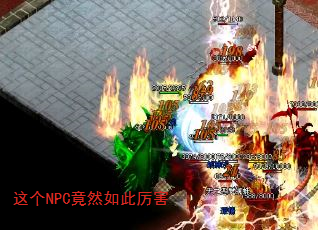 NPCȻ