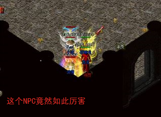 NPCȻ