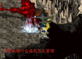 ˽лԱô