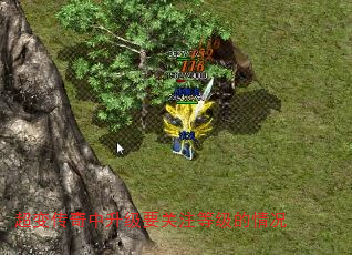 䴫Ҫעȼ