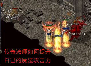 淨ʦԼħ