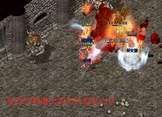 ̬ʿ80ô