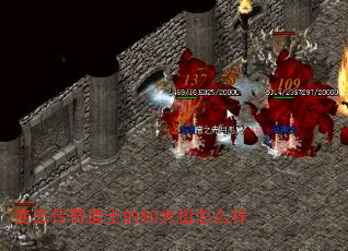 ̬ʿ80ô