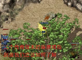 汾ԽָӦ˽