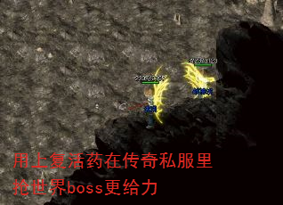 ϸҩڴ˽boss