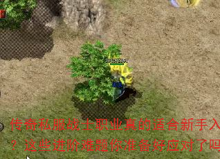 ˽սʿְҵʺЩ׼Ӧ