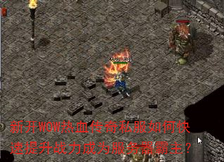 ¿WOWѪ˽οսΪ