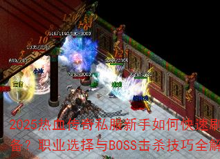 2025Ѫ˽οˢװְҵѡBOSSɱȫ
