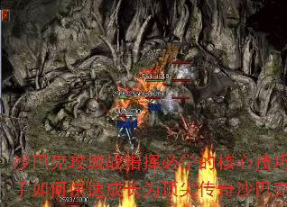 ɳͿ˹սָӱѧĺļЩοٳɳΪ⴫ɳͿָӹ٣