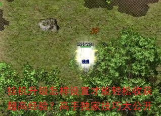 һòջ񳬸߾飿ֶҼɴ󹫿