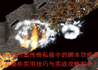 Ѫ˽еĽűܾЩʵüʵսԽ