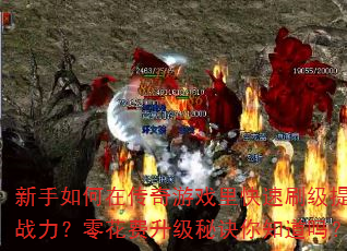 ڴϷˢս㻨ؾ֪