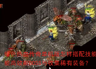 ɫѪ浥似ܸܲЧˢBOSSռϡװ