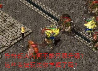 ΪβֻЩؼ淨