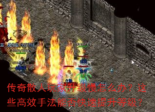 ɢô죿ЩЧַܷȼ