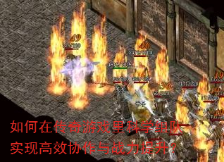 ڴϷѧʵָЧЭս