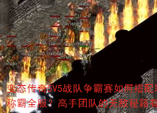 ̬5V5սδְҵսܳưȫŶӵ޵ؼЩؼҪ㣿