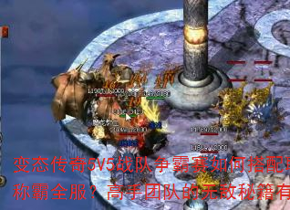 ̬5V5սδְҵսܳưȫŶӵ޵ؼЩؼҪ㣿