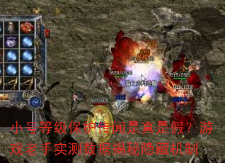 СŵȼǼ٣Ϸʵݽػ