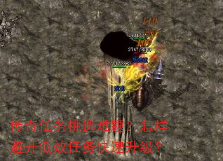 ѡ⣿ܿЧ