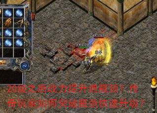 20֮սƿͻƿ