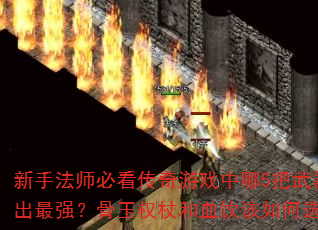 ַʦؿϷ5ǿȨȺѪѡ