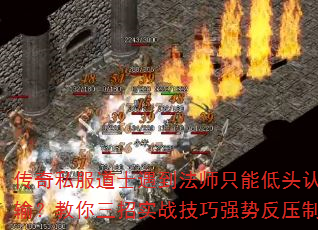 ˽ʿʦֻܵͷ䣿ʵսǿƷѹ