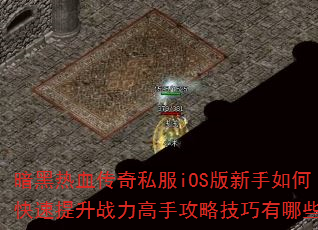 Ѫ˽iOSοսֹԼЩ