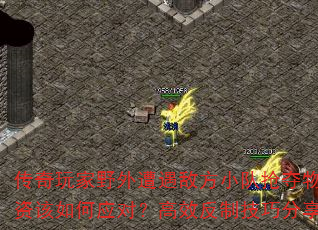ҰзСʸӦԣЧƼɷ