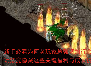 ֱؿΪǿл᣿л淨Щؼɳݾ